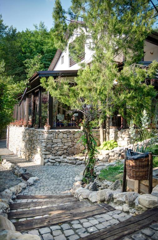 Pensiune-Restaurant Tara Luanei Sărata-Monteoru Extérieur photo