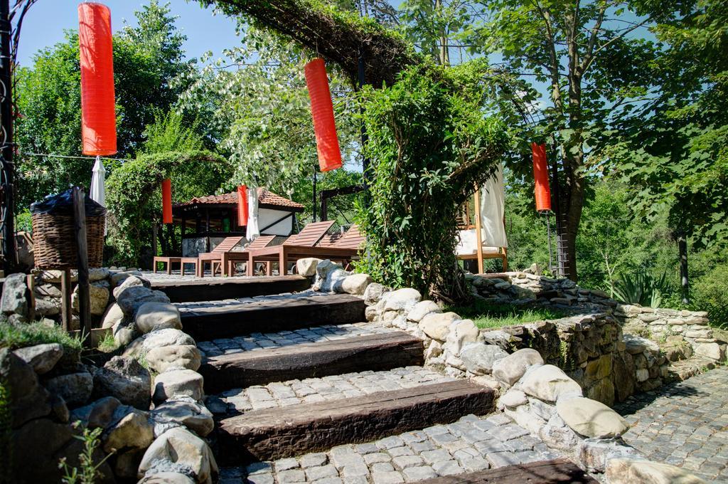 Pensiune-Restaurant Tara Luanei Sărata-Monteoru Extérieur photo